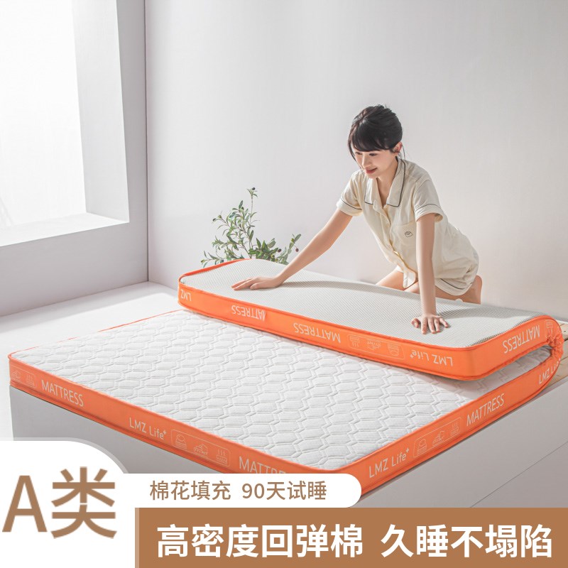 学生宿舍单人床垫高密度回弹w棉家用软垫记忆棉硬海绵榻榻米可定