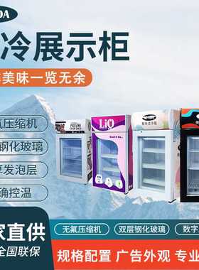 定制 美时达SD50B冷冻柜保鲜商用啤酒柜陈列柜超市玻璃饮料冷冻柜