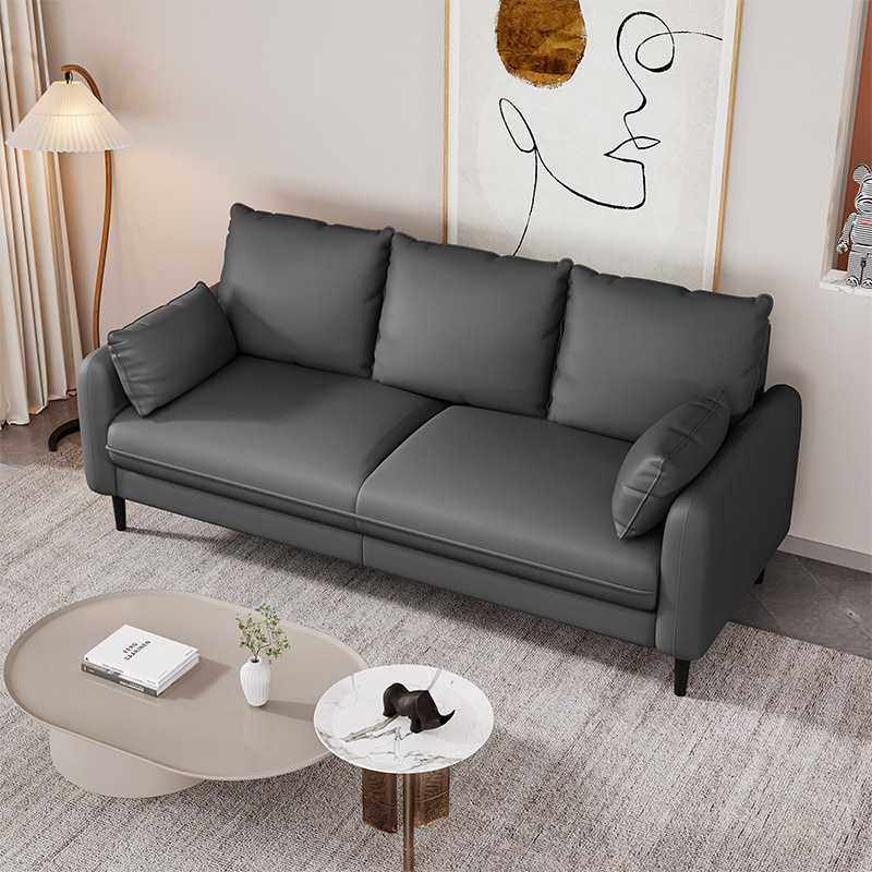 小户型客厅科技布双人三人沙发家用简易出租房两2米公寓1现代简约