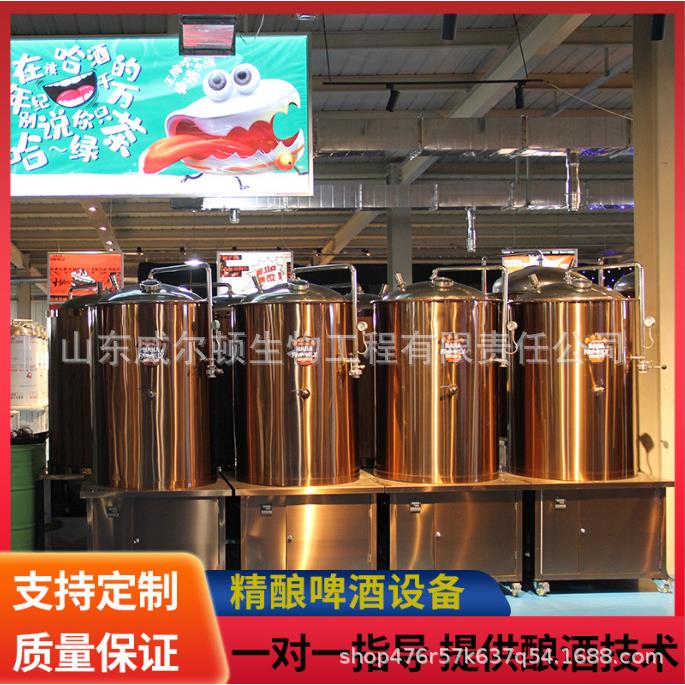 500升 自酿啤酒设备 精酿啤酒生产设备 精酿啤酒一体机