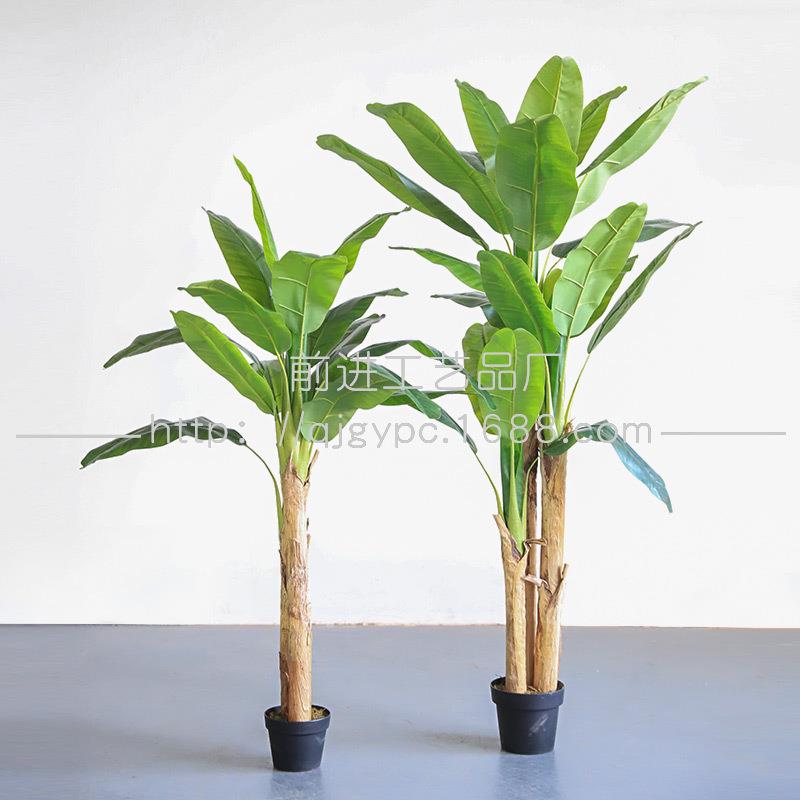 现货绿植酒店餐饮店热带雨林景观造景假植物盆栽芭蕉树绿植
