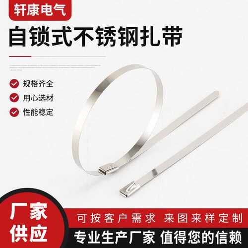 自锁式不锈钢扎带stainless steel cable tie