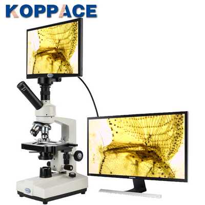 40X-1600X电子生物显微镜200万像素11.6寸屏中小学生教学实验