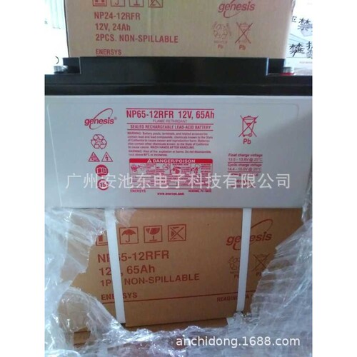 Enersys  genesis np  艾诺斯霍克 蓄电池  NP100-12RFR
