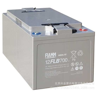 非凡FIAMM蓄电池12FLB350 12V100AH铅酸电池 12V90AH型号12FLB400