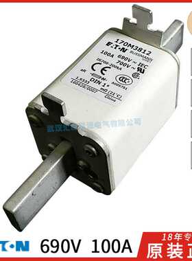 BUSSMANN熔断器170M3808-3809-3810-3811-3812-3813 40A 63A 100A