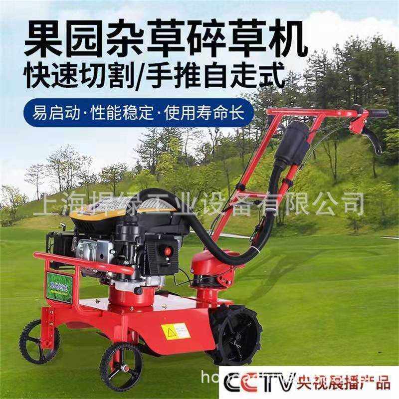 杂草碎草机果园割草机农业除草机开荒打草机小坦克手推自走草坪机,玩具/童车/益智/积木/模型,垂直悬浮玩具,淘宝优惠券,粉丝福利购,淘宝优惠卷