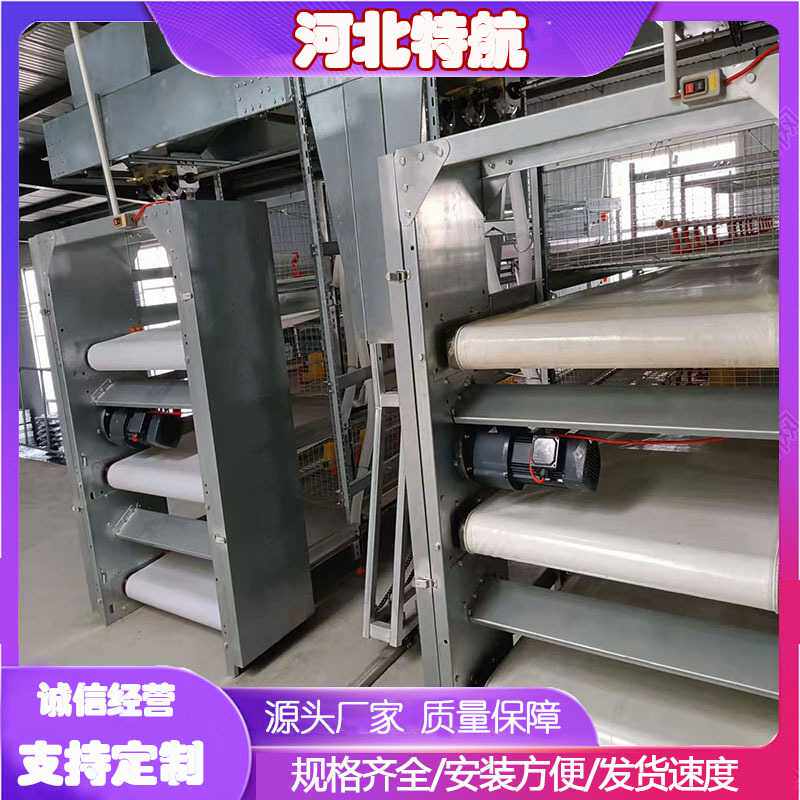 框架肉鸡笼全自动立式热镀锌丝鸡笼  自动化清粪捡蛋养鸡养殖设备