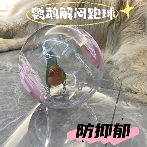 鹦鹉玩具解闷自嗨小太阳运动滚球