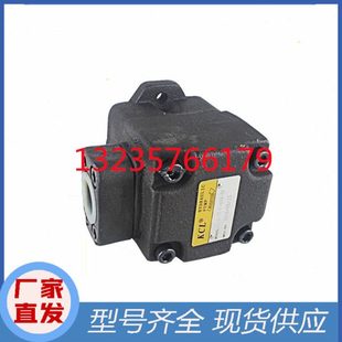 200 RAB 01油泵VQ45 01油泵 RAA 台湾KCL凯嘉叶片泵VQ45