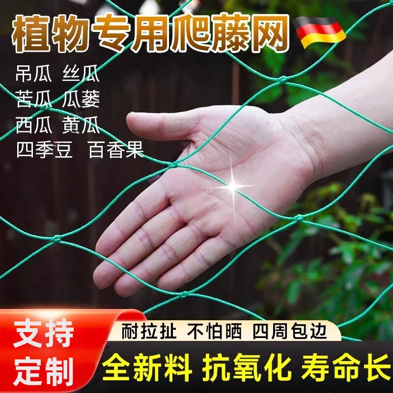 爬藤网植物花卉豆角丝瓜蔬菜黄瓜苦瓜葡萄农用种植新型网格攀爬网