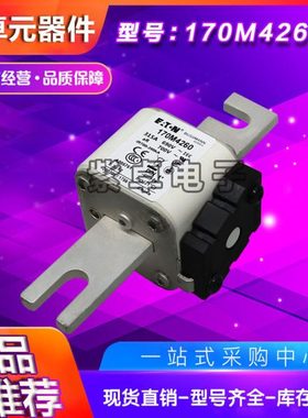 170M4238 170M4239 170M4240 170M4241 170M4242伊顿巴斯曼保险丝