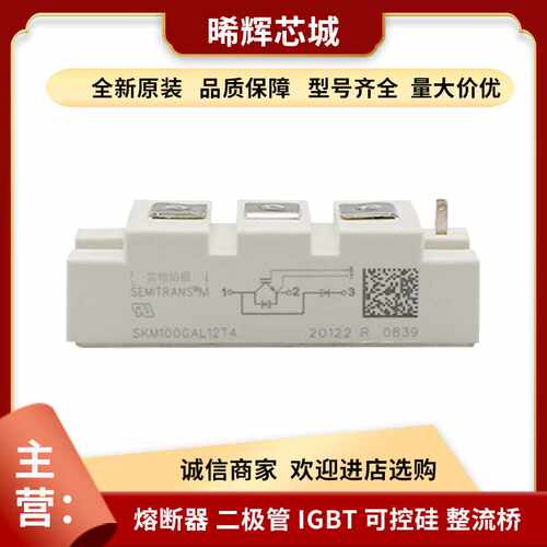 SKM200GA063D SKM300GA063D IGBT功率模块全新原装量大从优现货