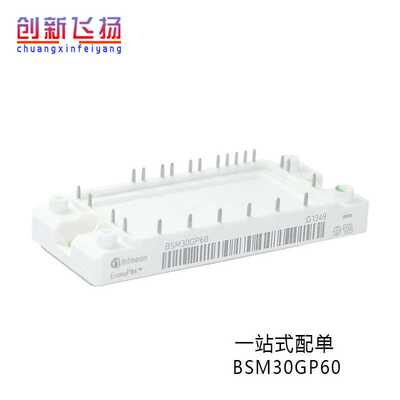 BSM30GP60全新原装电力半导体IGBT功率模块BSM30GP60B2BOSA1
