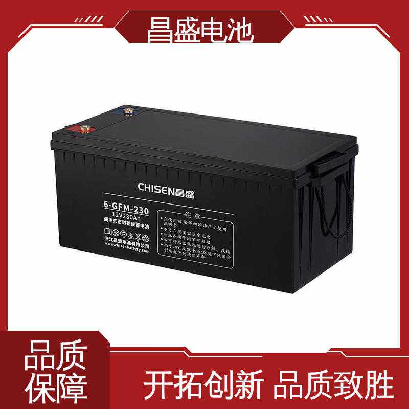 昌盛 6-GFM-230 ups电源 直流屏专用 应急蓄电池 口