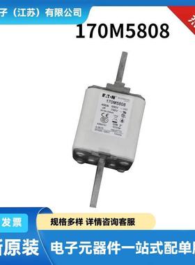 170M8646170M8650170H0235170H0236原厂陶瓷熔断器保险丝