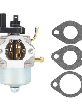 扫雪机化油器 Carb For Briggs & Stratton 801396 801233 801255