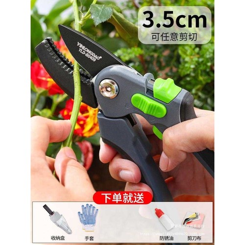 花剪园艺剪刀家用花草盆栽修花园林果树修剪树枝德国剪枝修枝剪