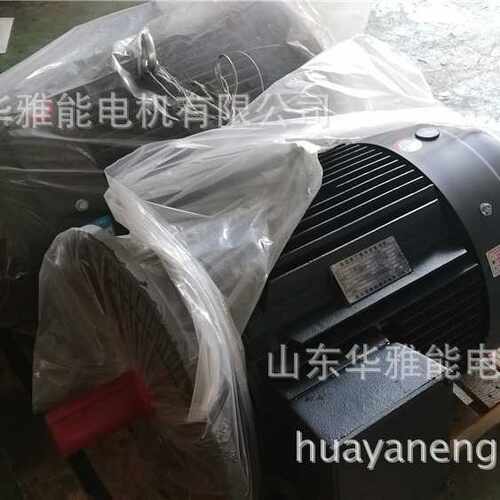 YC单相电机YL/YC180L-4-22电机60HZ频率顺时出线口M24朝非轴伸端