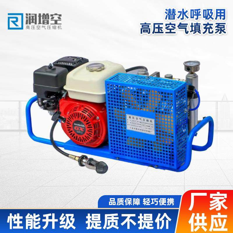 便携式高压潜水呼吸气瓶空压机充填气泵潜水呼吸20-30Mpa