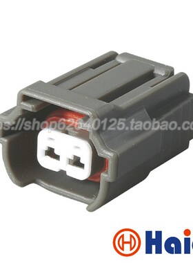 2孔 大众喷油嘴插头 汽车线束连接器  含端堵 DJ7022B-2.2-21