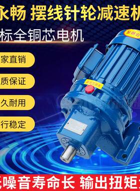 常州摆线针轮减速机BWD卧式BLD立式XW国标全铜芯电机直连式减速器