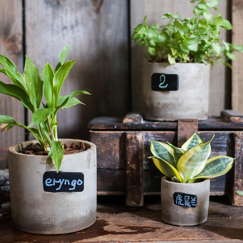 掬涵黑板标签花器香草花盆uINS北欧水泥简约现代桌面多肉创意