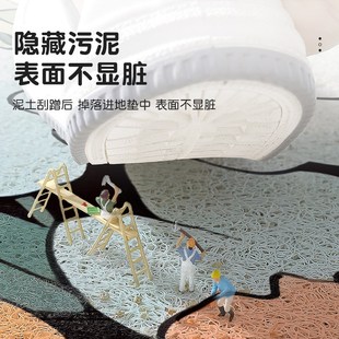 大门玄关家用门垫丝圈进门地毯门厅免打理脚垫 入户门地垫2024新款