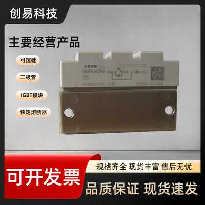 SKM100GAL12T4 SKM100GAL123D/100GAL124D/100GAL128D/100GAL12V