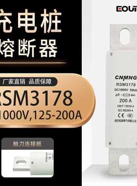 RSM3178熔断器DC1000V充电桩熔断器RS309规格齐100A200A量大直流