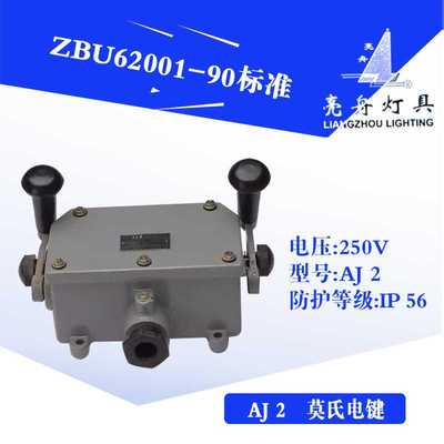 上海亮舟船用双柄电键开关AJ2交直流控制莫氏信号灯220V10A现货