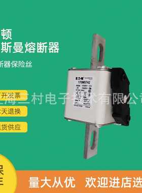 全新原装快速熔断器保险丝170M5739 170M5740 170M5741 170M5742