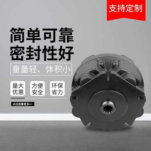 船舶液压马达BJM1油马达BJM2-600大扭矩3系列4型超高压5起吊机7