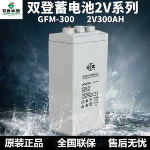 EPS直流屏电厂电力设备备用 UPS 双登蓄电池GFM 300免维护2V300AH