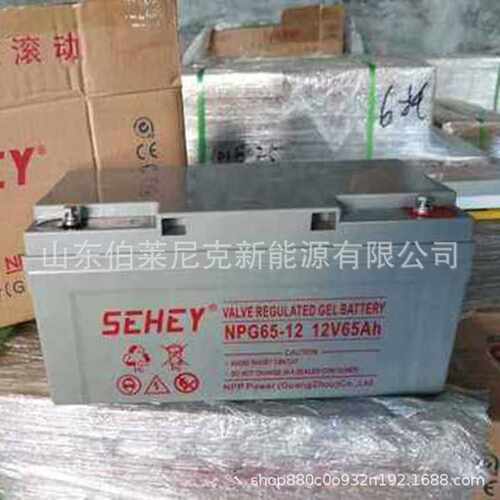 SEHEY西力蓄电池12V9AH NP12-9铅酸免维护UPS电池 EPS太阳能