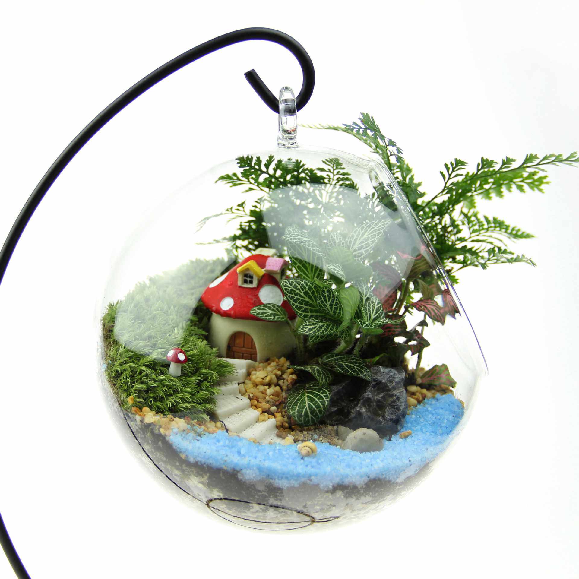 创意礼品 礼物 苔藓微景观套装 成品生态瓶 16平底吊瓶套装