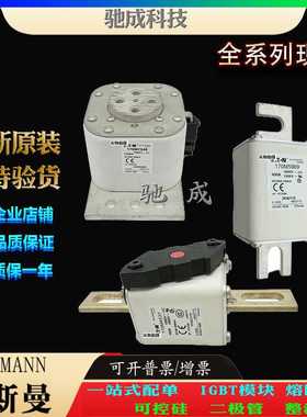 巴斯曼170M7141 170M7142 170M7143 销售供应零售  低压熔断器
