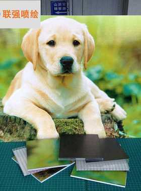 供应深圳出口pp塑料中空板 插牌高青喷绘瓦楞板广告牌塑胶指示牌