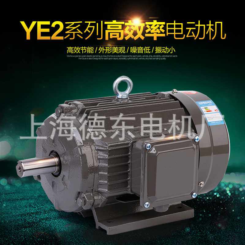 上海德东 YE2 YE3 160M-4 11KW 三相异步电动机 马达