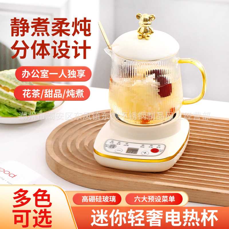 办公室迷你养生壶花茶壶煮茶器煮银耳羹水果茶烧水壶电炖礼盒装