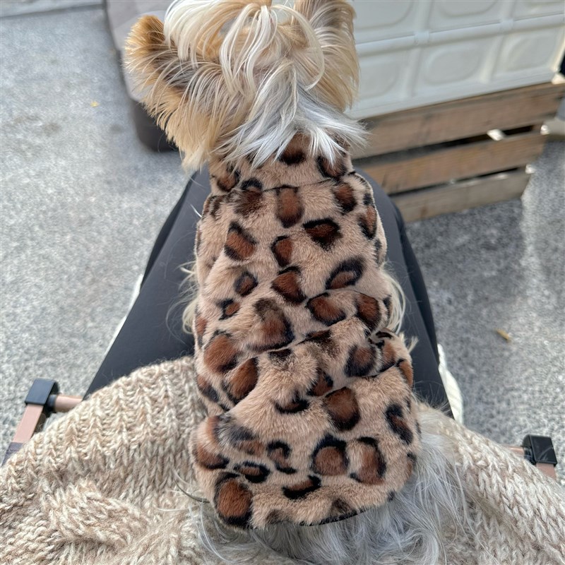 小甜粥约克夏马尔济斯宠物服小型犬秋冬加厚马甲外套泰迪狗狗衣服