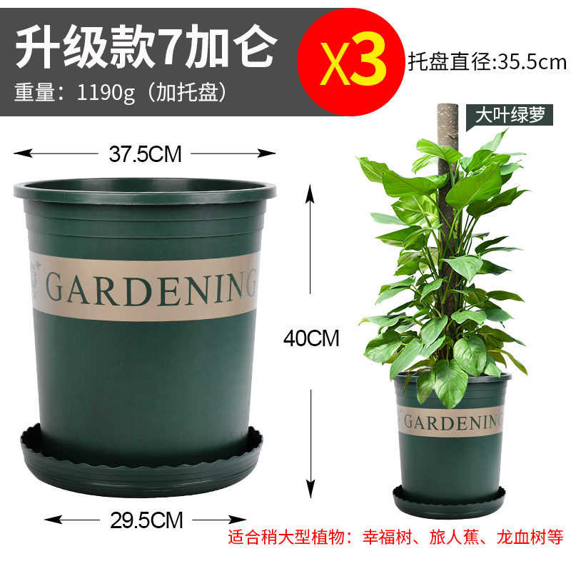 吊盆花盆悬挂式塑料悬挂式加仑吊篮花盆吊兰垂吊绿萝常春藤挂盆厚,鲜花速递/花卉仿真/绿植园艺,花盆,淘宝优惠券,粉丝福利购,淘宝优惠卷