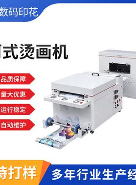 高速小型柯式打印机无描边白墨烫画T恤迷你4头A3抖粉烘干一体机