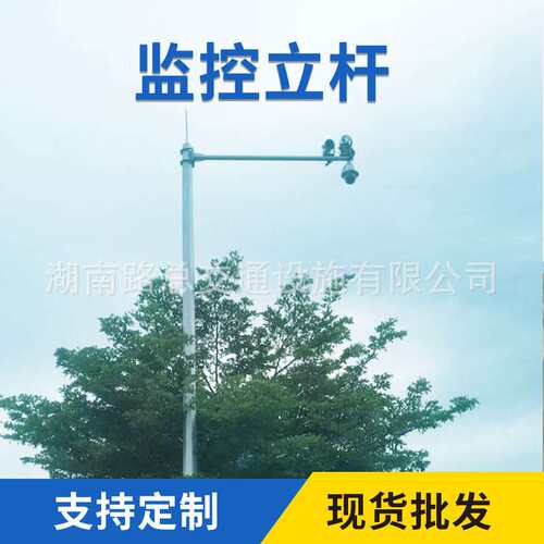 专业厂家 电子监控杆 八角道路监控立杆 交通设施电子卡口交通杆F