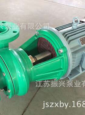 溧美牌封闭式叶轮电动桶泵 100FPD-32单吸式泵 单吸式塑料电动泵