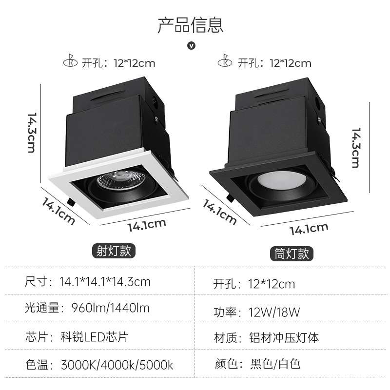 斗胆灯led射灯嵌入式筒灯长方形双头格栅射灯照明豆胆射灯天花灯