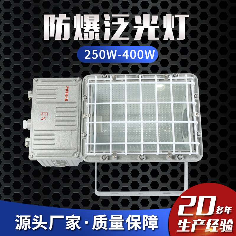防爆泛光灯250W-400W防爆投光灯连体防爆厂房照明灯 防爆路灯 金