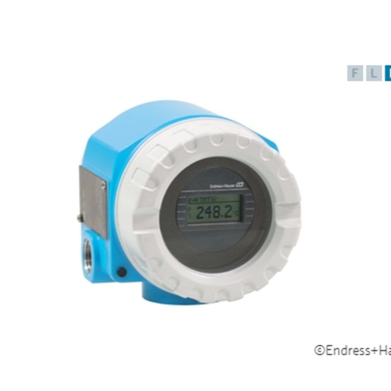 德国E+H温度变送器PT100热电阻E+H温度传感器防爆热电偶铂热电阻,鲜花速递/花卉仿真/绿植园艺,洒水/浇水壶,淘宝优惠券,粉丝福利购,淘宝优惠卷