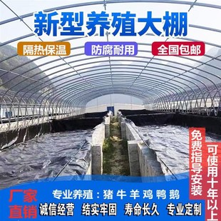 养殖大棚全套大棚骨架家用温室种植棚养鸡棚羊棚牛棚养猪大棚