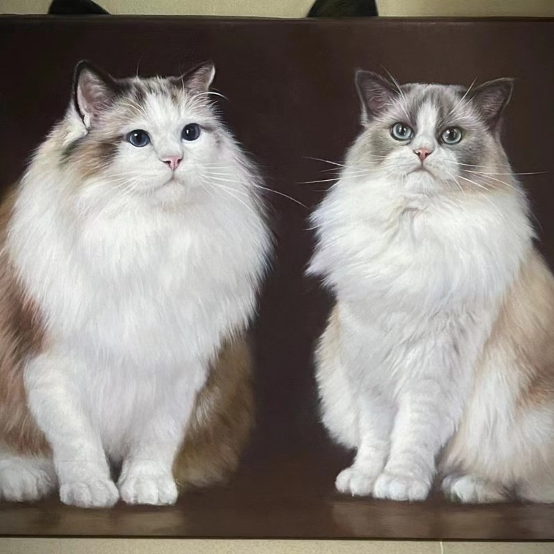 猫咪小狗狗油画定制照片人物纯手绘肖像装饰画自画像宠物来图定制图片